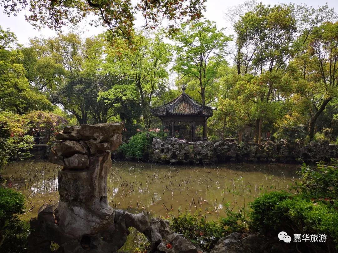 嘉华旅游|到江南水乡过大年，感受十里秦淮与上海滩的繁华与浪漫