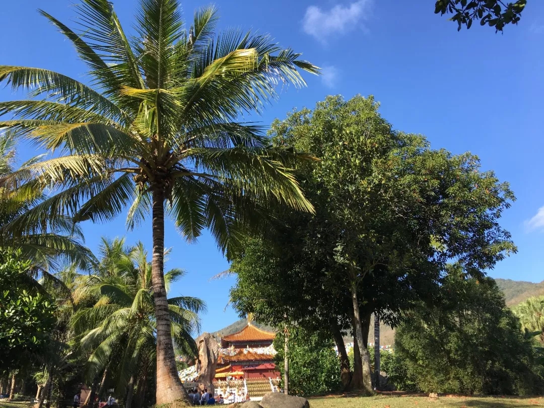 嘉华旅游|“鳌”游海南，春暖花开