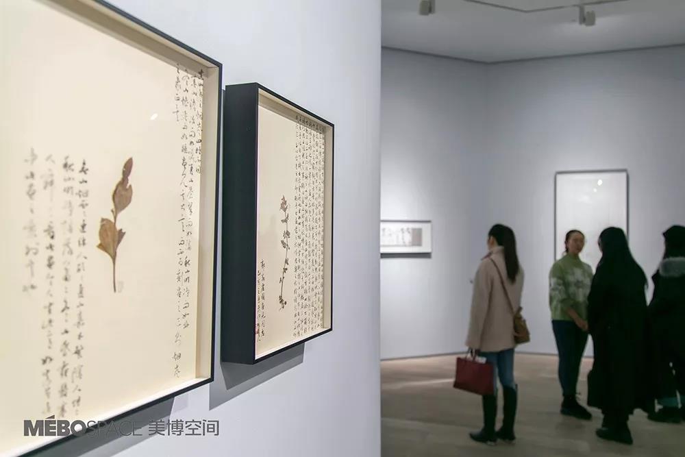 艺术家高茜、许静“蔓延”展览成功亮相北京“美博空间”，展览将持续至2月28日