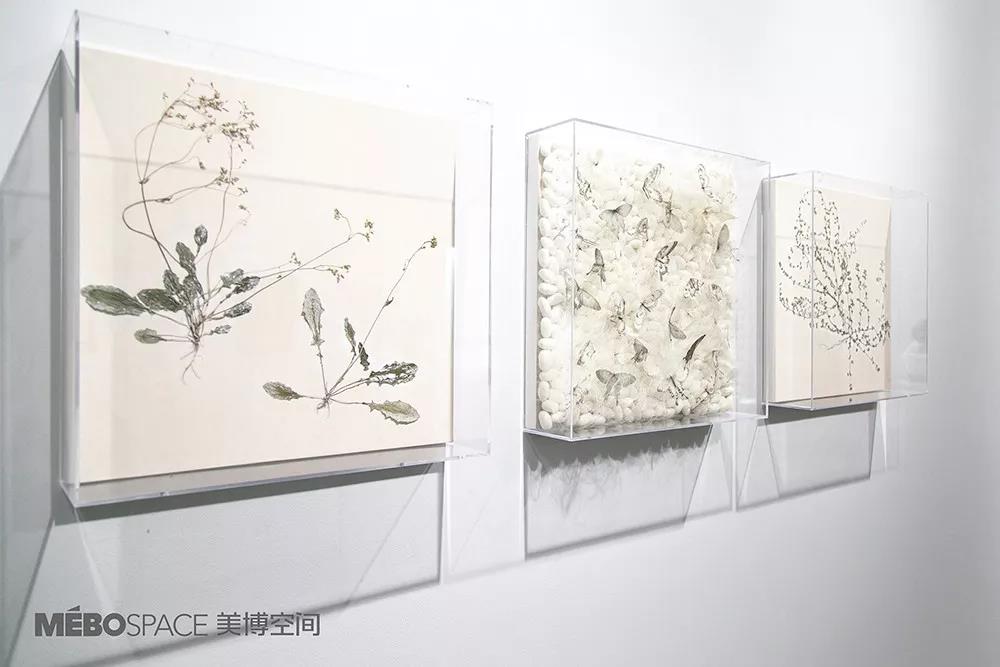 艺术家高茜、许静“蔓延”展览成功亮相北京“美博空间”，展览将持续至2月28日