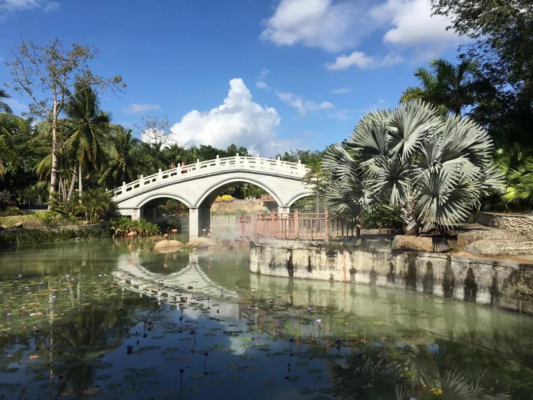 嘉华旅游|与其在北方的大雪里呲牙咧嘴，不如在海南的暖阳里浪漫沉醉