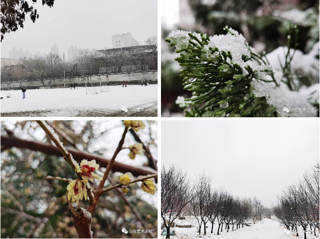 雪后山艺：校园银装素裹，眼中尽是绝色