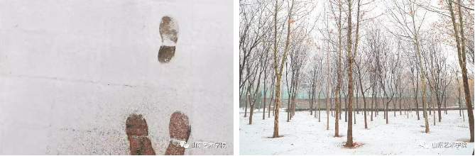 雪后山艺：校园银装素裹，眼中尽是绝色