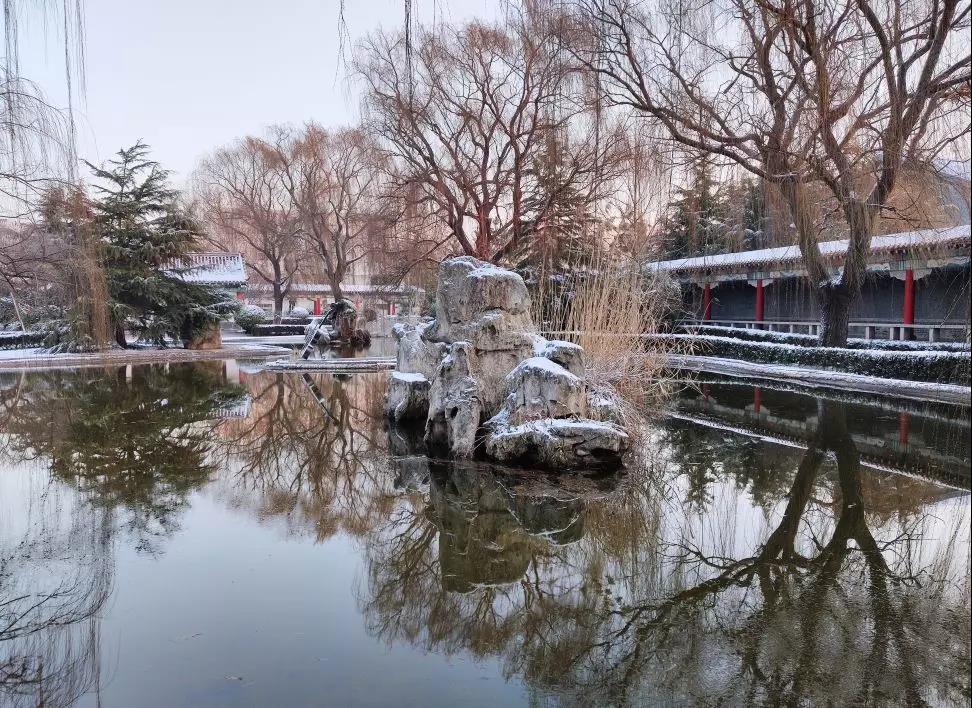 景芝酒业|看雪后“酒城”，似水墨美艳