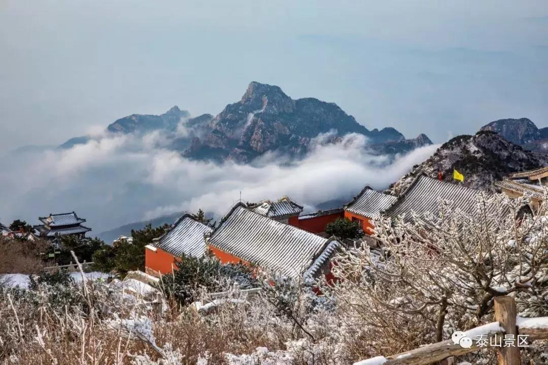 加上东营黄河口，山东5A级景区总数增至12家