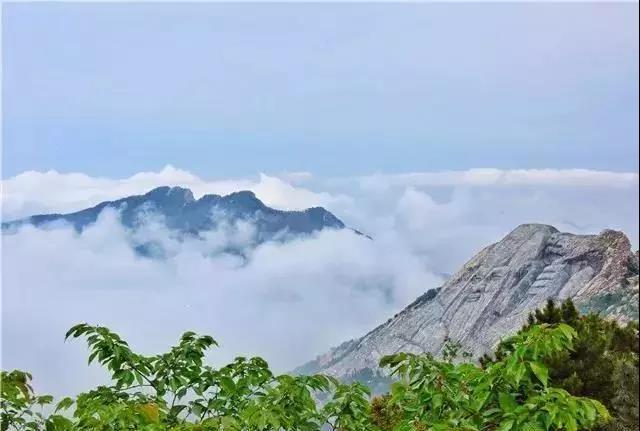 加上东营黄河口，山东5A级景区总数增至12家