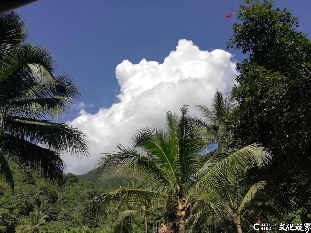 嘉华旅游|济南直飞西双版纳 带你一起温暖过春节！