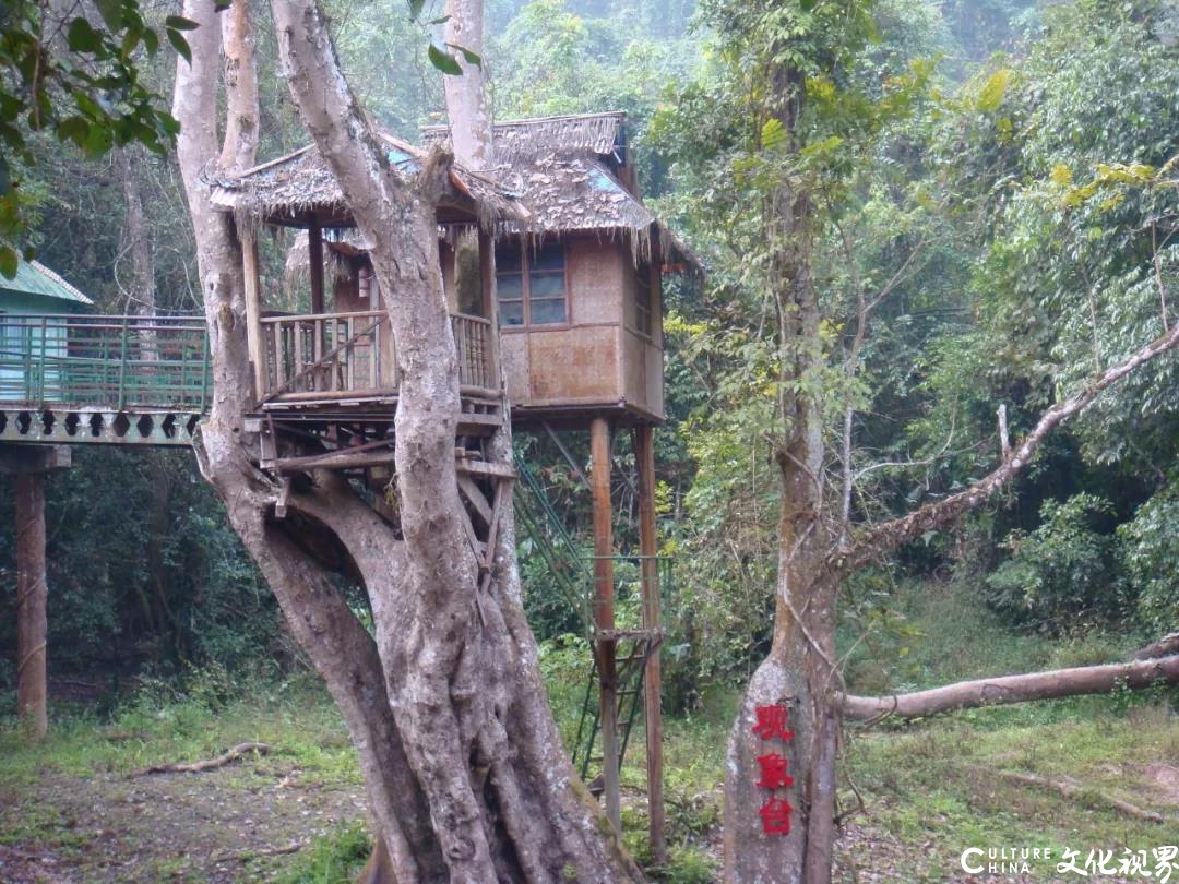 嘉华旅游|济南直飞西双版纳 带你一起温暖过春节！