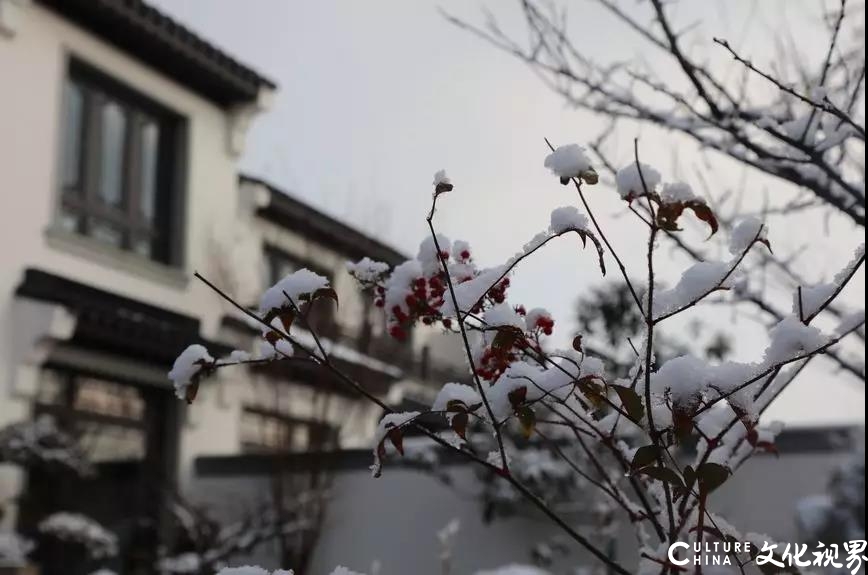 齐鲁酒地|许你一处院子，你却许给诗意与恬淡