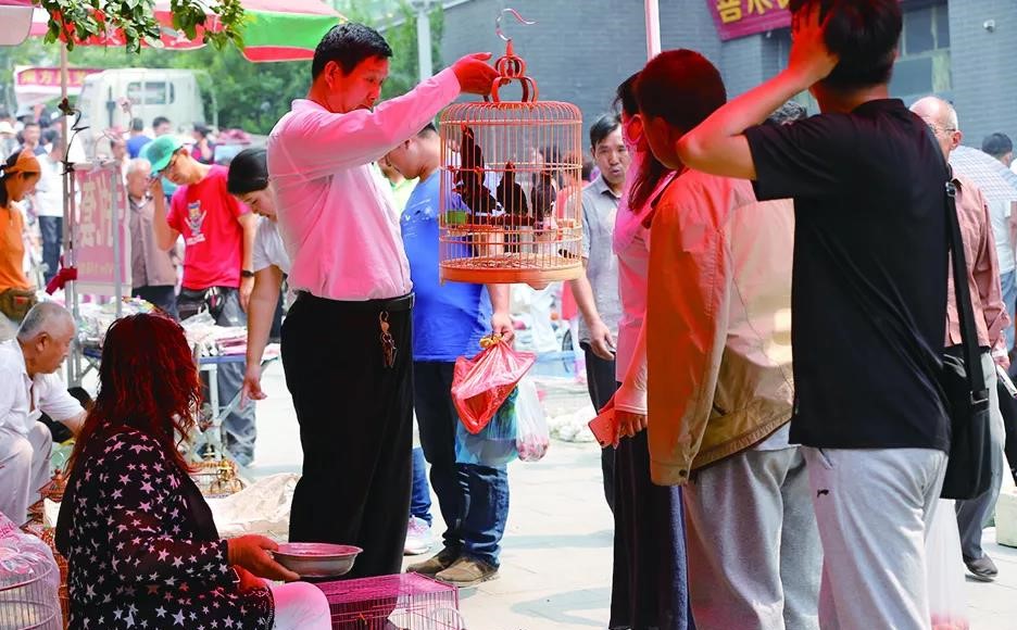 年前不赶集，年味少几许——山东这几个传统集市值得一去