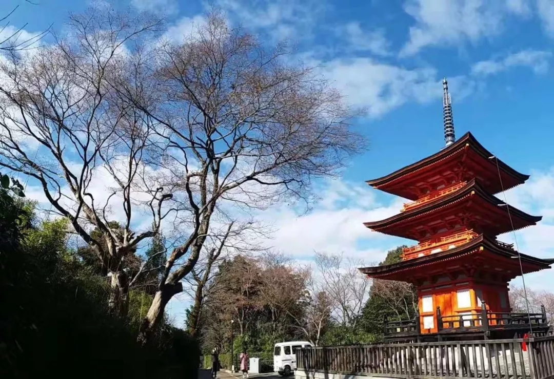 嘉华旅游|“会员日”超强福利来袭，好运“鼠”于你！