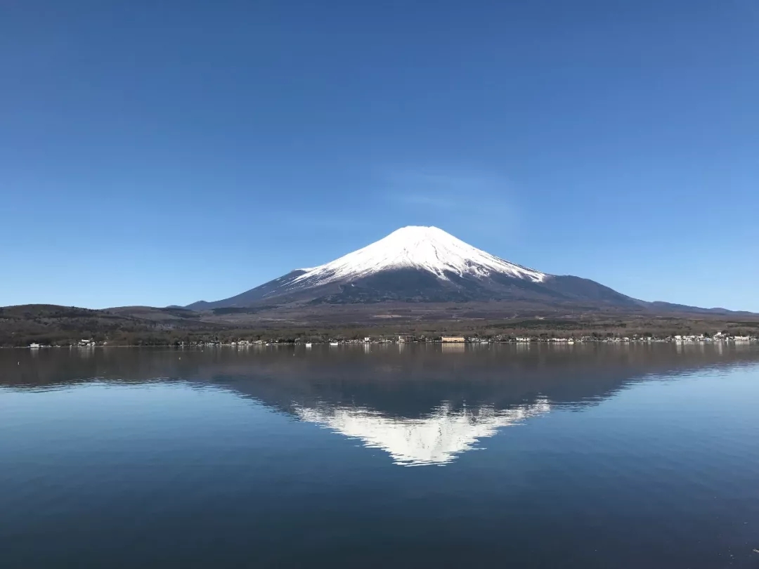 嘉华旅游|“会员日”超强福利来袭，好运“鼠”于你！