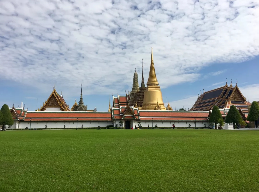 嘉华旅游|“会员日”超强福利来袭，好运“鼠”于你！