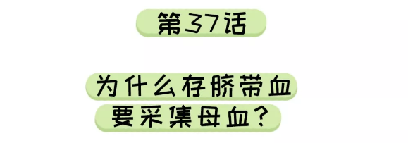 山东省脐血库 | 脐酱漫游记：为什么存脐带血要采集母血？