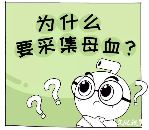 山东省脐血库 | 脐酱漫游记：为什么存脐带血要采集母血？