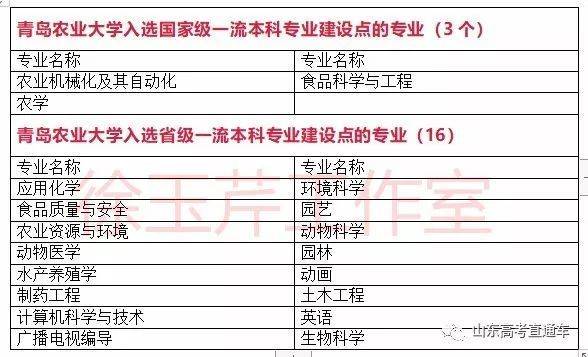 一流本科专业“双万计划”首批名单出炉，山东33所高校157个专业入选