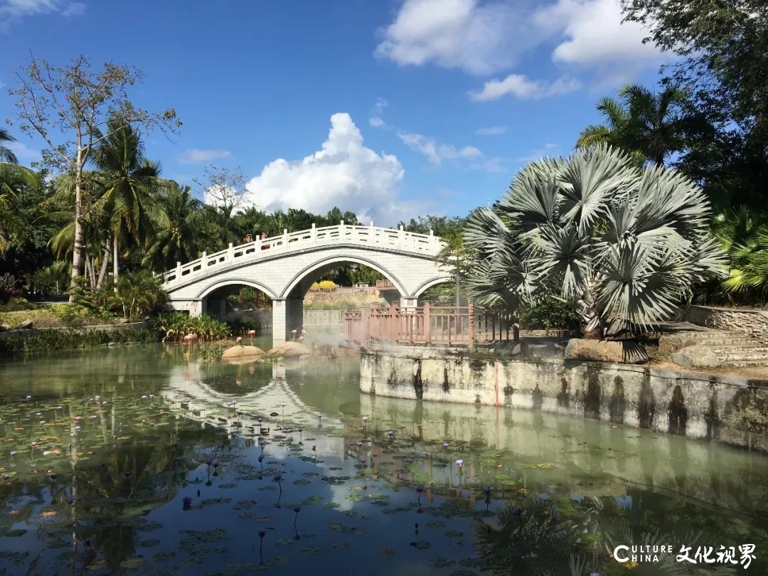 嘉华旅游|北方白雪飘飘  海南景点绚烂