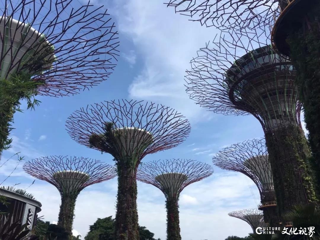 嘉华旅游带你游览花园城市新加坡