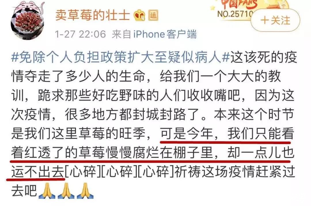 疫情当下：不信谣不传谣，保持理性莫做乌合之众