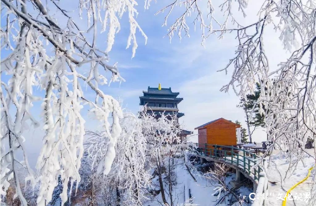 心系游客 战胜疫情——山东文旅集团用行动诠释国企担当