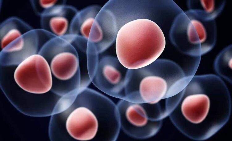 干细胞技术用于临床研究，重症患者血浆抗体治疗效果显著