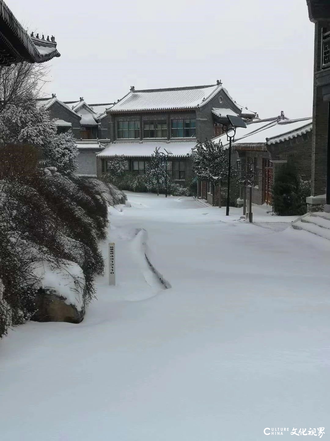 待疫情过去，相约齐鲁酒地共赏春暖花开