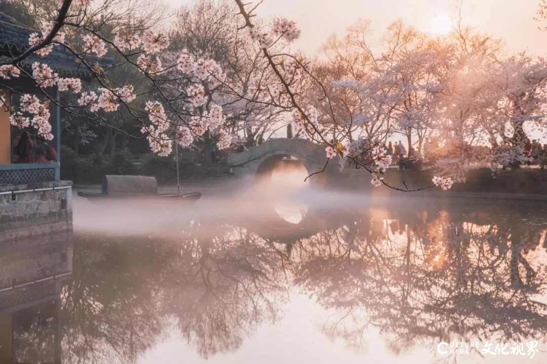 罗平的花海、荔波的苍翠……待春天归来，去这9个地方欣赏一场美的盛宴