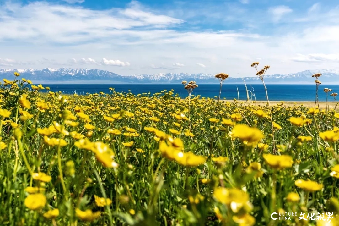 罗平的花海、荔波的苍翠……待春天归来，去这9个地方欣赏一场美的盛宴