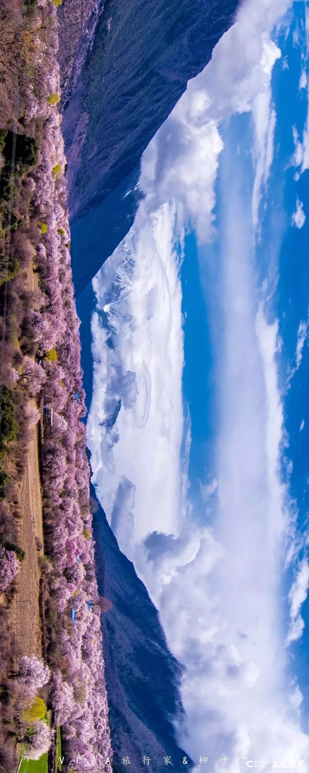 罗平的花海、荔波的苍翠……待春天归来，去这9个地方欣赏一场美的盛宴