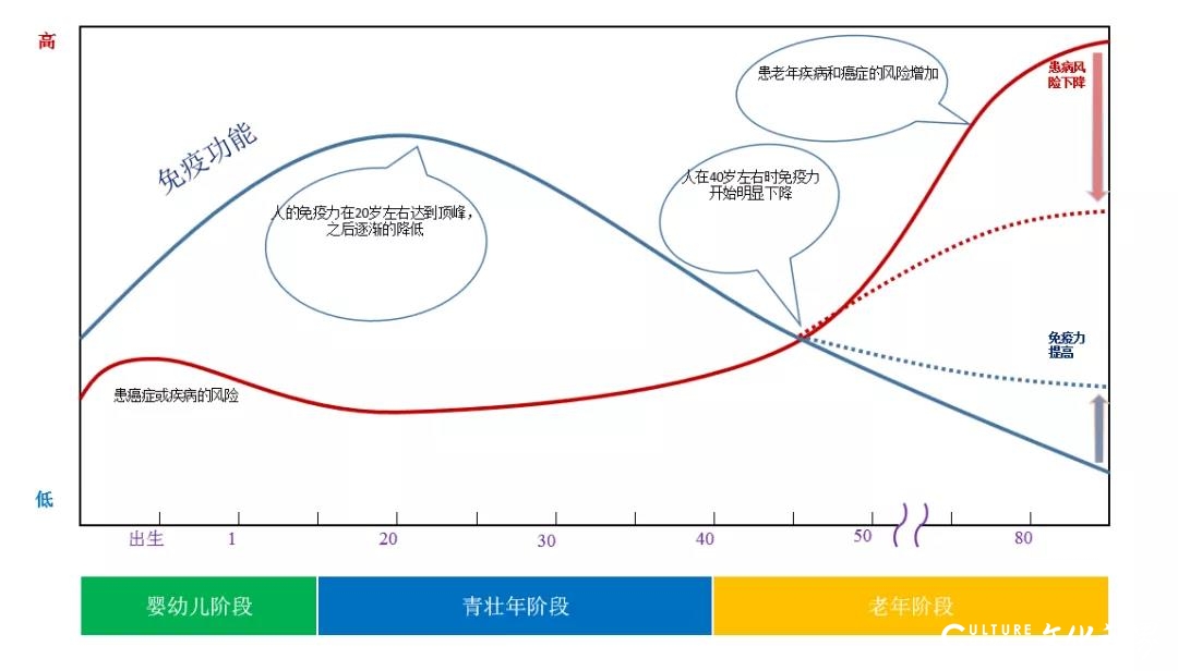 齐鲁细胞治疗工程公司“免疫力评估”，让您的免疫状况清晰可见