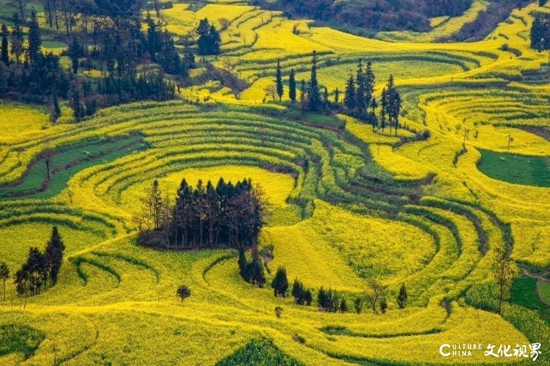 罗平的花海、荔波的苍翠……待春天归来，去这9个地方欣赏一场美的盛宴