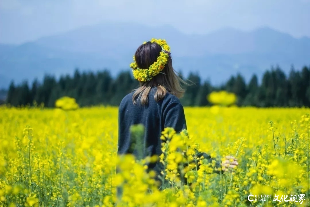 罗平的花海、荔波的苍翠……待春天归来，去这9个地方欣赏一场美的盛宴