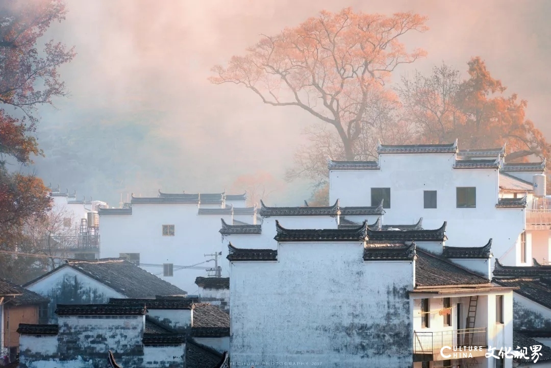 罗平的花海、荔波的苍翠……待春天归来，去这9个地方欣赏一场美的盛宴