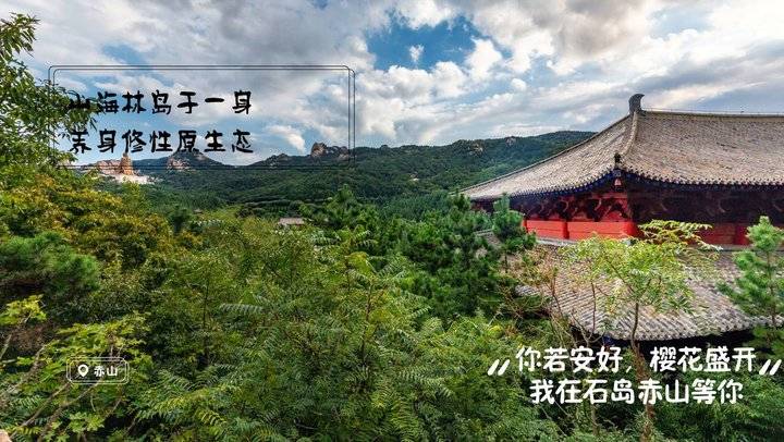 全国医护人员：荣成石岛赤山景区邀你共享“面朝大海春暖花开