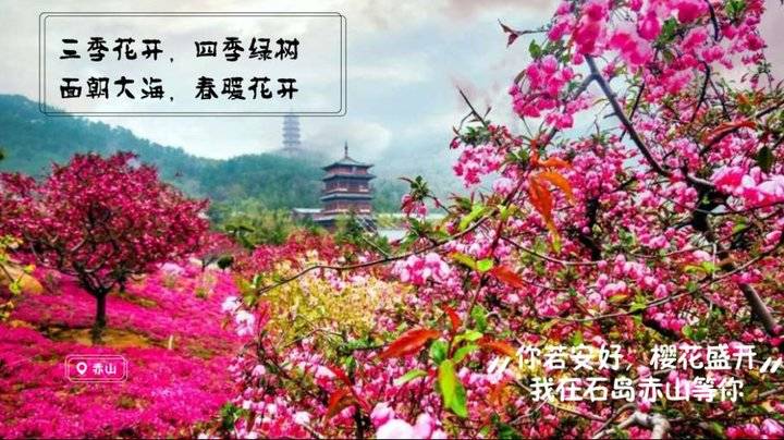 全国医护人员：荣成石岛赤山景区邀你共享“面朝大海春暖花开"