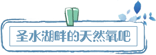 待到春和景明时，一起到尼山圣境享“圣地壮阔”、沐“天然氧吧” 门票只需60元