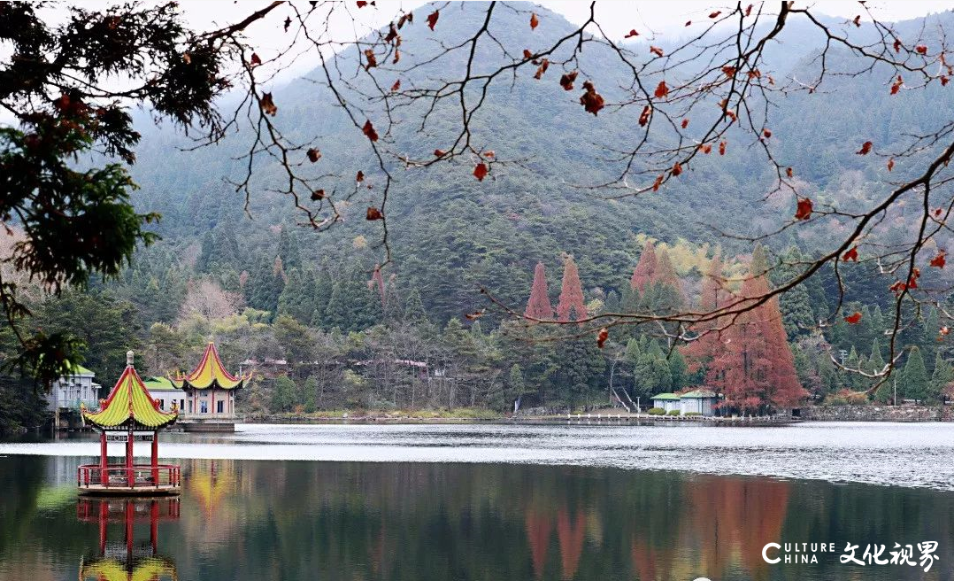 乃夫视界：秋色横空 赏诗悦景 