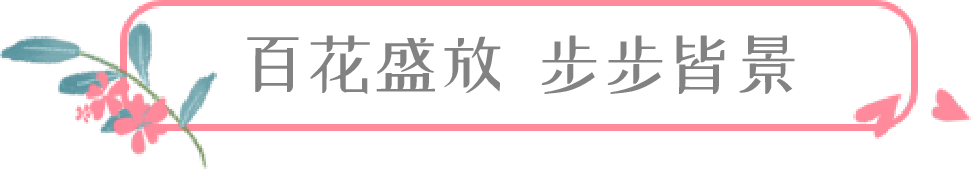 住星空山居  游尼山圣境，原价1520元，限时抢购只要399元