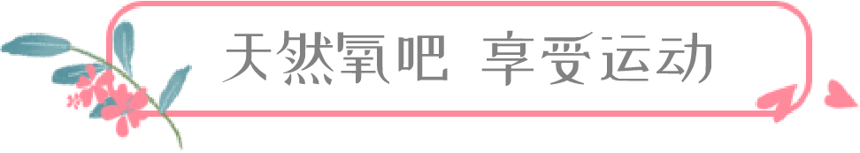 住星空山居  游尼山圣境，原价1520元，限时抢购只要399元