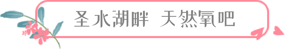 住星空山居  游尼山圣境，原价1520元，限时抢购只要399元