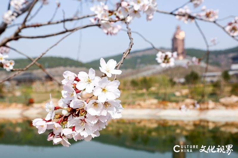 住美宿游景区赏演艺，尼山圣境、灵山胜境、拈花湾、兴汉胜境499超值套餐令人心动