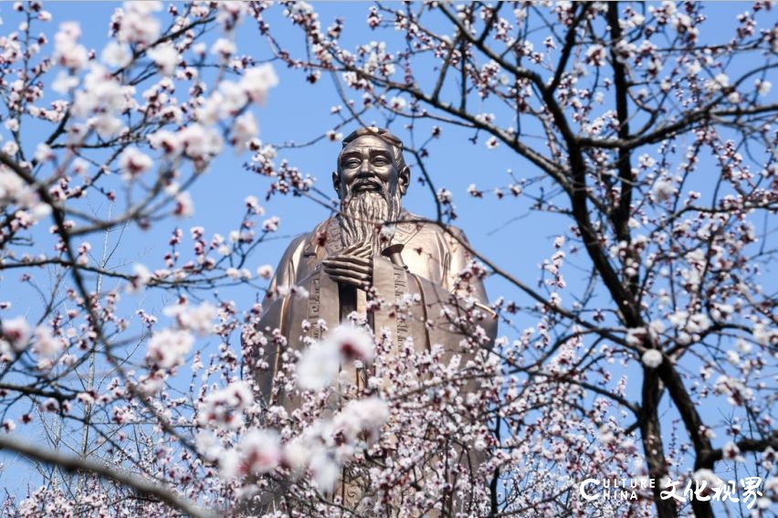 住美宿游景区赏演艺，尼山圣境、灵山胜境、拈花湾、兴汉胜境499超值套餐令人心动