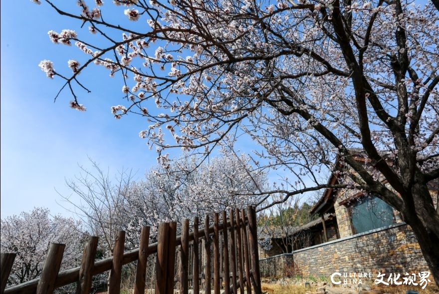 住美宿游景区赏演艺，尼山圣境、灵山胜境、拈花湾、兴汉胜境499超值套餐令人心动