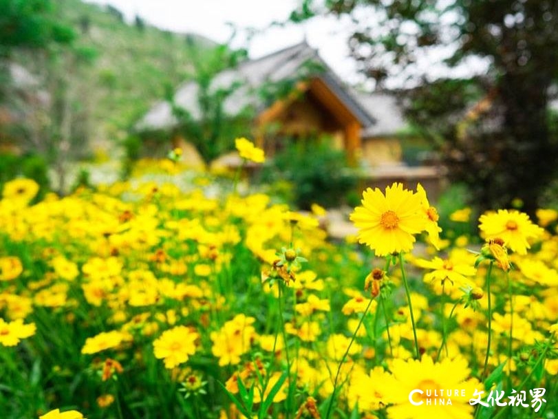 住美宿游景区赏演艺，尼山圣境、灵山胜境、拈花湾、兴汉胜境499超值套餐令人心动