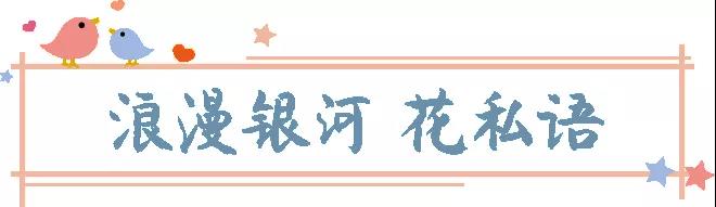 住美宿游景区赏演艺，尼山圣境、灵山胜境、拈花湾、兴汉胜境499超值套餐令人心动