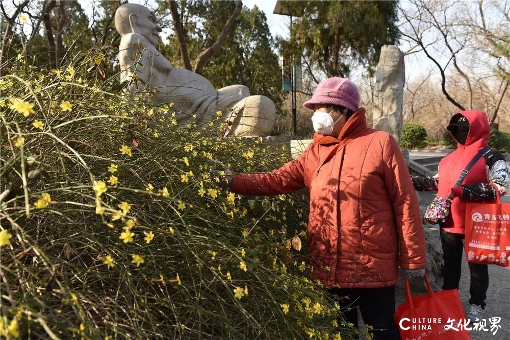 嘉华旅游送您一份千佛山赏花攻略