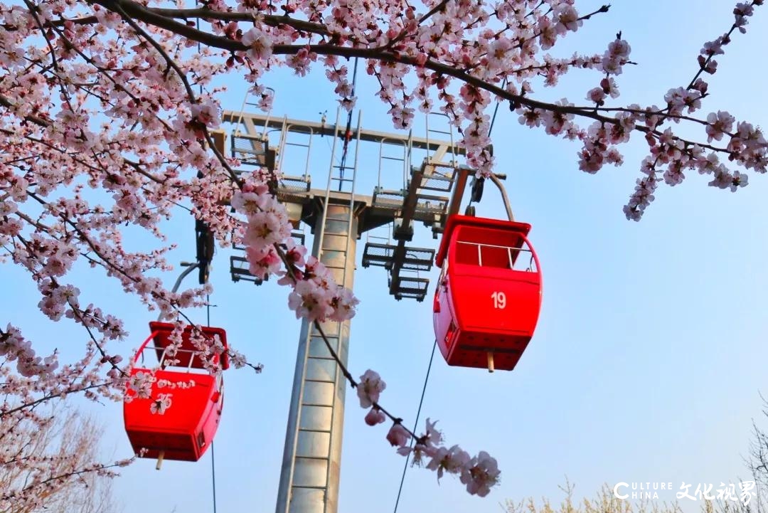 嘉华旅游送您一份千佛山赏花攻略