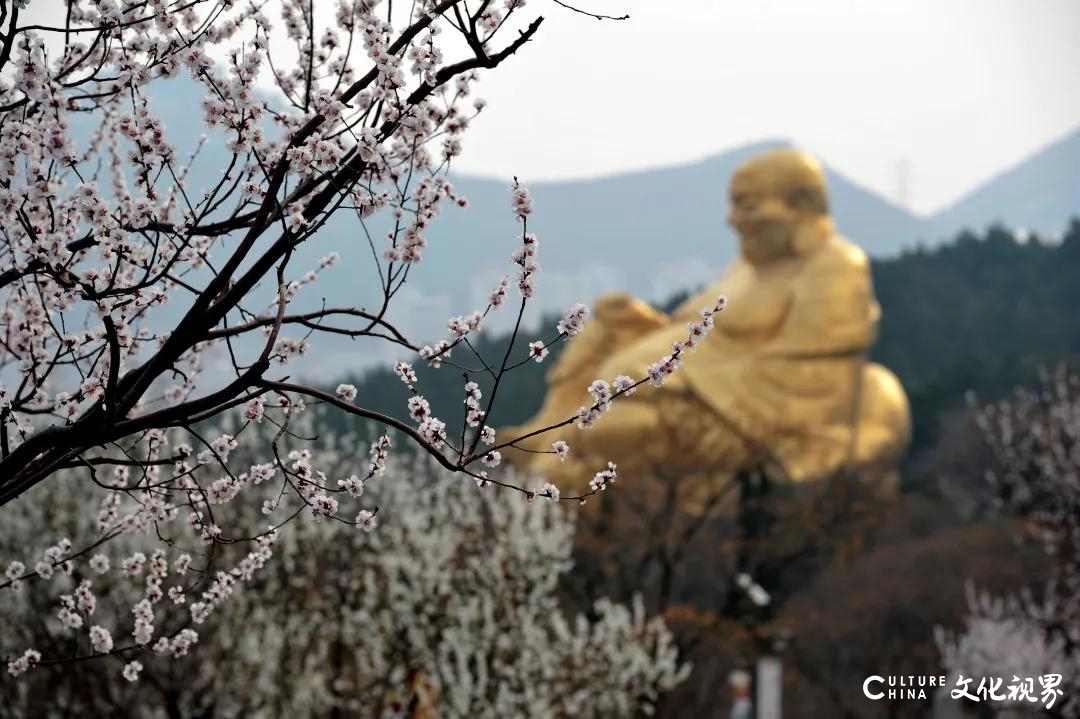 嘉华旅游送您一份千佛山赏花攻略