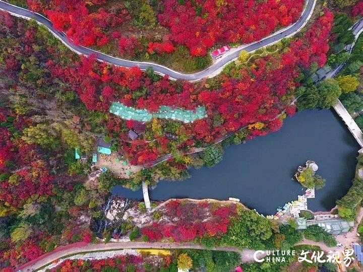 战“疫”归来，畅游山东！一大波景区优惠措施来了