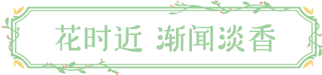 被湖南卫视李锐村长点赞的尼山圣境春日之旅，内含499元特惠套餐